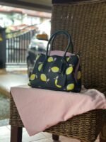 kate_spade_lemon_bags_1723272913_a6ccb234_progressive Kate Spade Lemon Bags