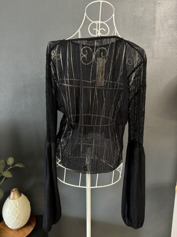 Elegant Sheer Top